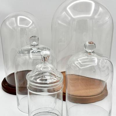(5) Dome Cloches & Apothecary Jars