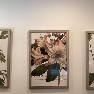 Three Framed Floral Prints