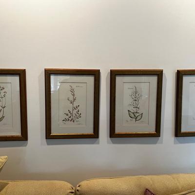 Lyndi Lende Set Of 4 Floral Numbered Framed Prints