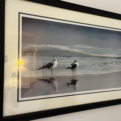 Framed Seagull Print