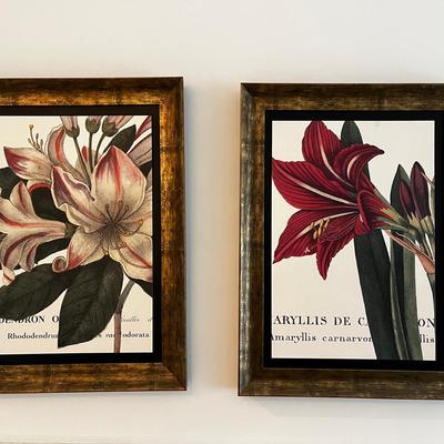 Gorgeous Pair Of Floral Prints 