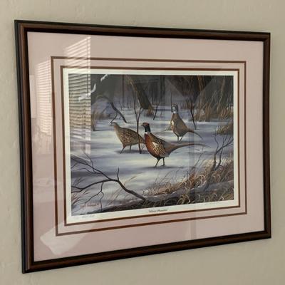 Winter Pheasant Print By Mark Anderson
