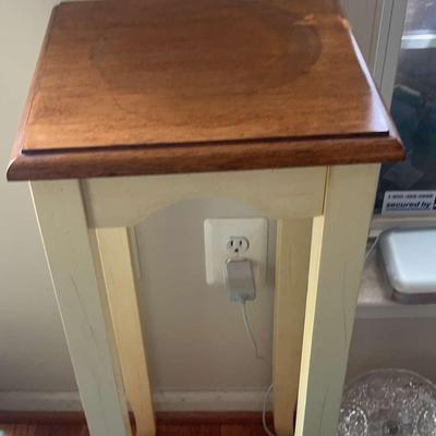 Light Green Wooden Sofa Table & Plant Stand