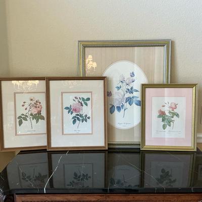 Rose Botanical Art 