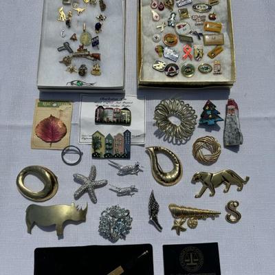 Costume jewelry pins