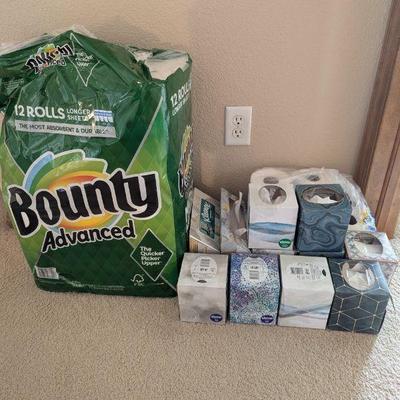 Lot #47 - Home Essentials Lot: Paper Towels, Tissues & Paper Hand Towels