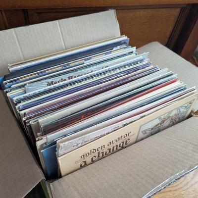 Lot #15 - Vinyl Records Lot
