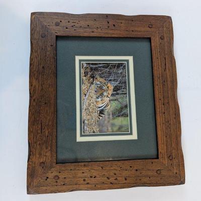 Lot #142 - Images of Nature by Thomas Mangelsen: "Catch of the Day" and "Bad Boy of the Forest"