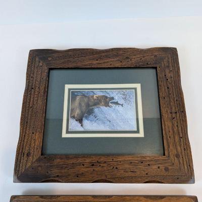 Lot #142 - Images of Nature by Thomas Mangelsen: "Catch of the Day" and "Bad Boy of the Forest"
