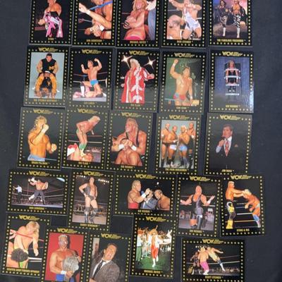1991 WCW World Champion Wrestling Trading Cards