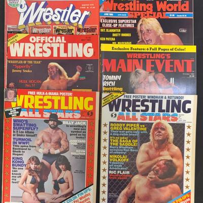 Wrestling All Stars 84, The Best Of The Wrestler And More