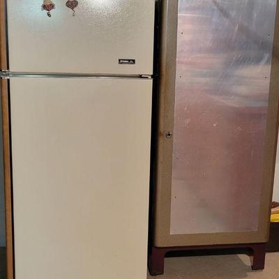 Basement Fridge and Storage Cabinet 