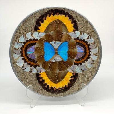14 1/2 butterfly wing wall plaque 
