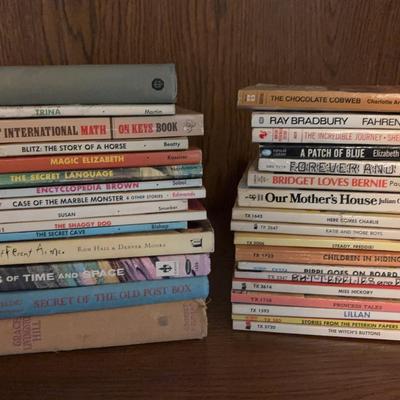 Children And Teenager Book Assortment 