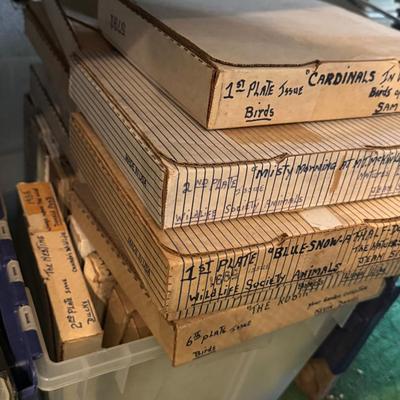 Mystery Lot Of Collectible Plates
