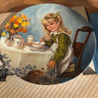 Mystery Lot Of Collectible Plates
