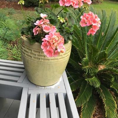 $95
2 available