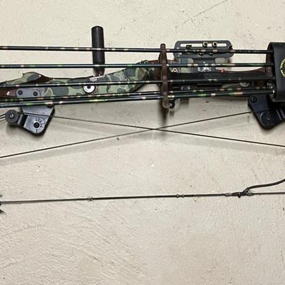 Bow and Arrows