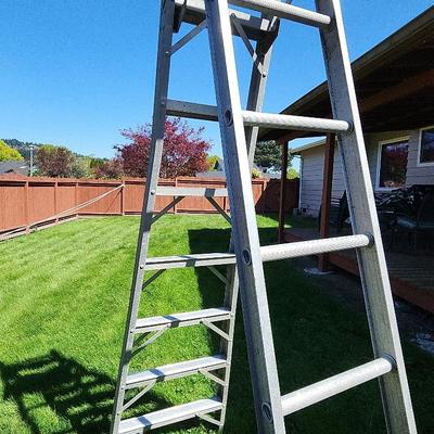 Ladder 10 Foot