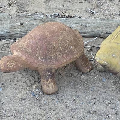 (3) Outdoor Turtles