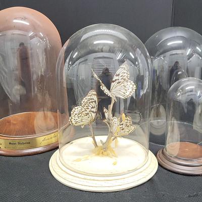Butterfly Cloche + (1122)