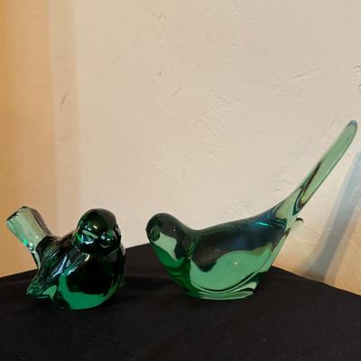 Fenton Green Birds
