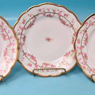 "M.Z. Austria" Porcelain Plates #2