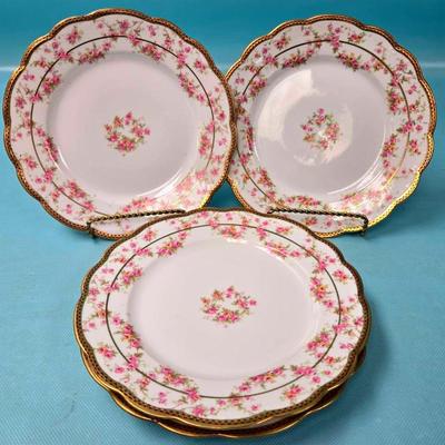 "M.Z. Austria" Porcelain Plates #1