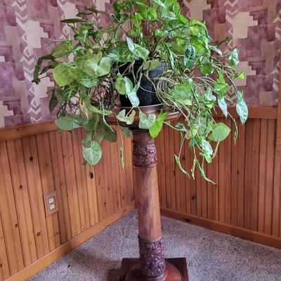 Plant Stand and Arrowhead Plant