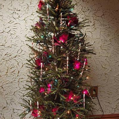 Poinsettia Tree