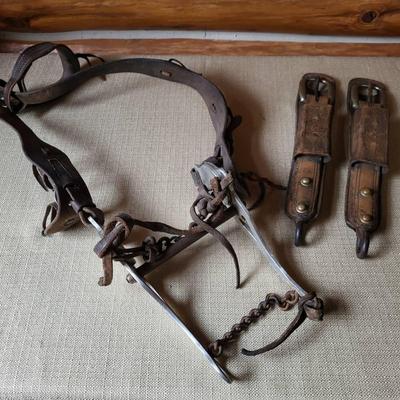 Leather Bridle and Stirrup Holders