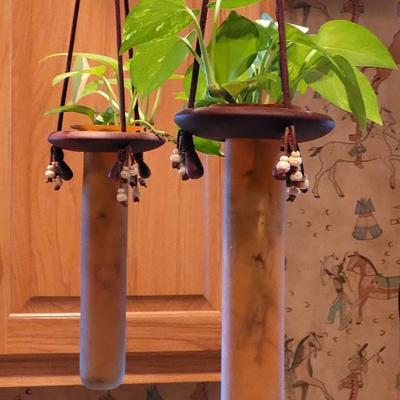 Hanging Propagation Vases