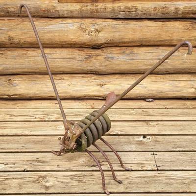 Folk Art Scrap Metal Bug