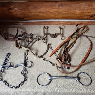Bits and Bridle