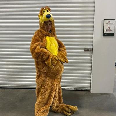 Disney Bear Costume 