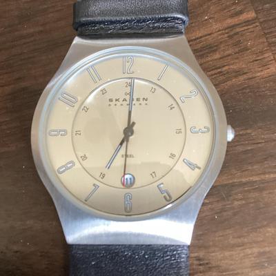 SKAGEN Watch (233xxlslc)