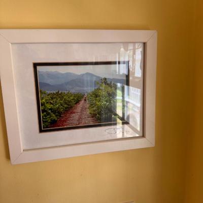 Sale Photo Thumbnail #376