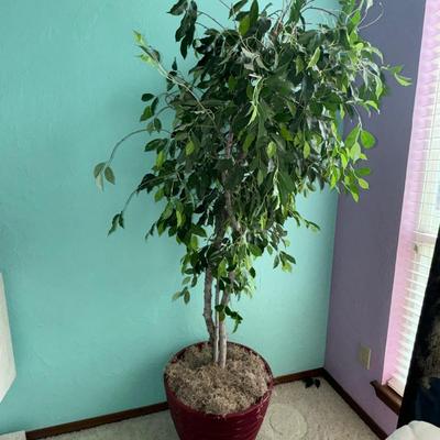 Tree Decor 