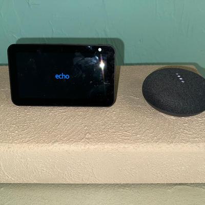 Google Nest And Amazon Echo 
