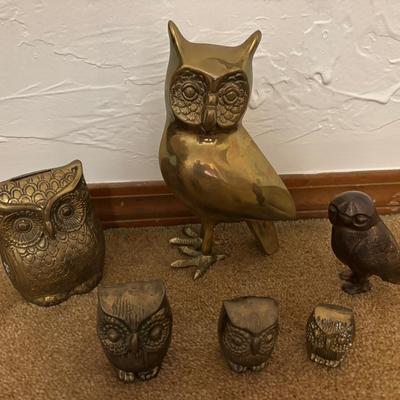 Brass Owls