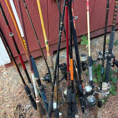 Fishing Rod & Reels 