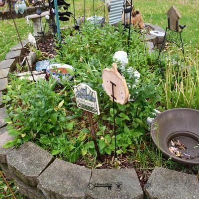 0737 front yard