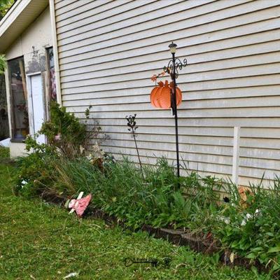 0729 front yard