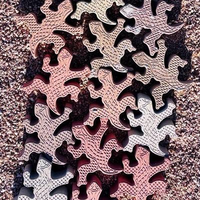 Unique Lizard-Shaped Concrete Pavers