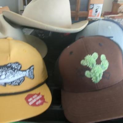 Stetson Hats Size 7.5 And Caps