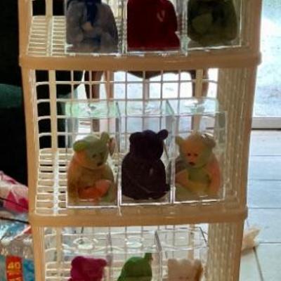 Ty Bears in plastic cases