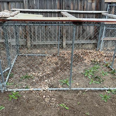 Chainlink Dog Run