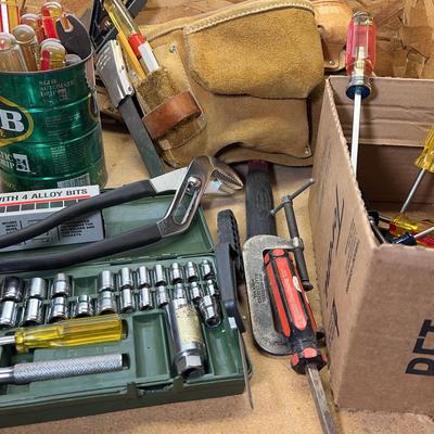 Tool Belt & Tool Variety