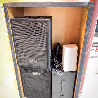 Peavey PVi 10 2-Way Speaker System & Custom Carrying Crate