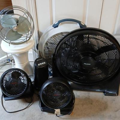 Assorted Fans, 1006-700
